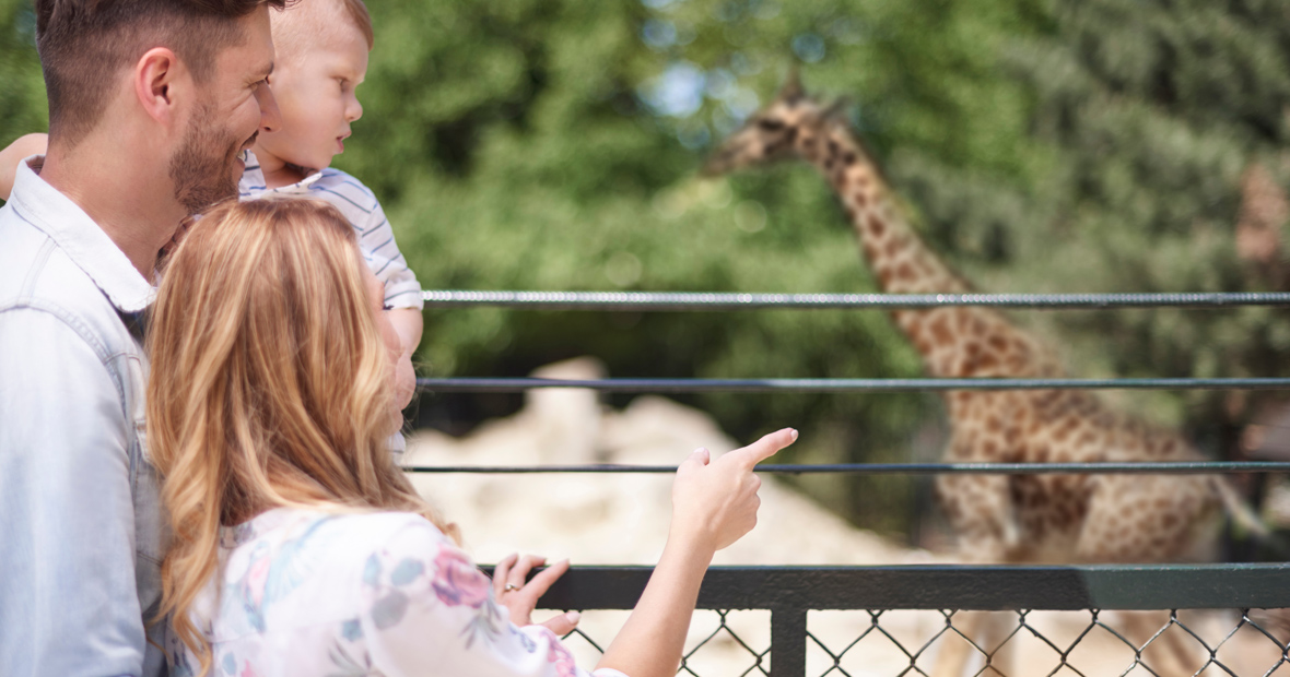 parcs animaliers